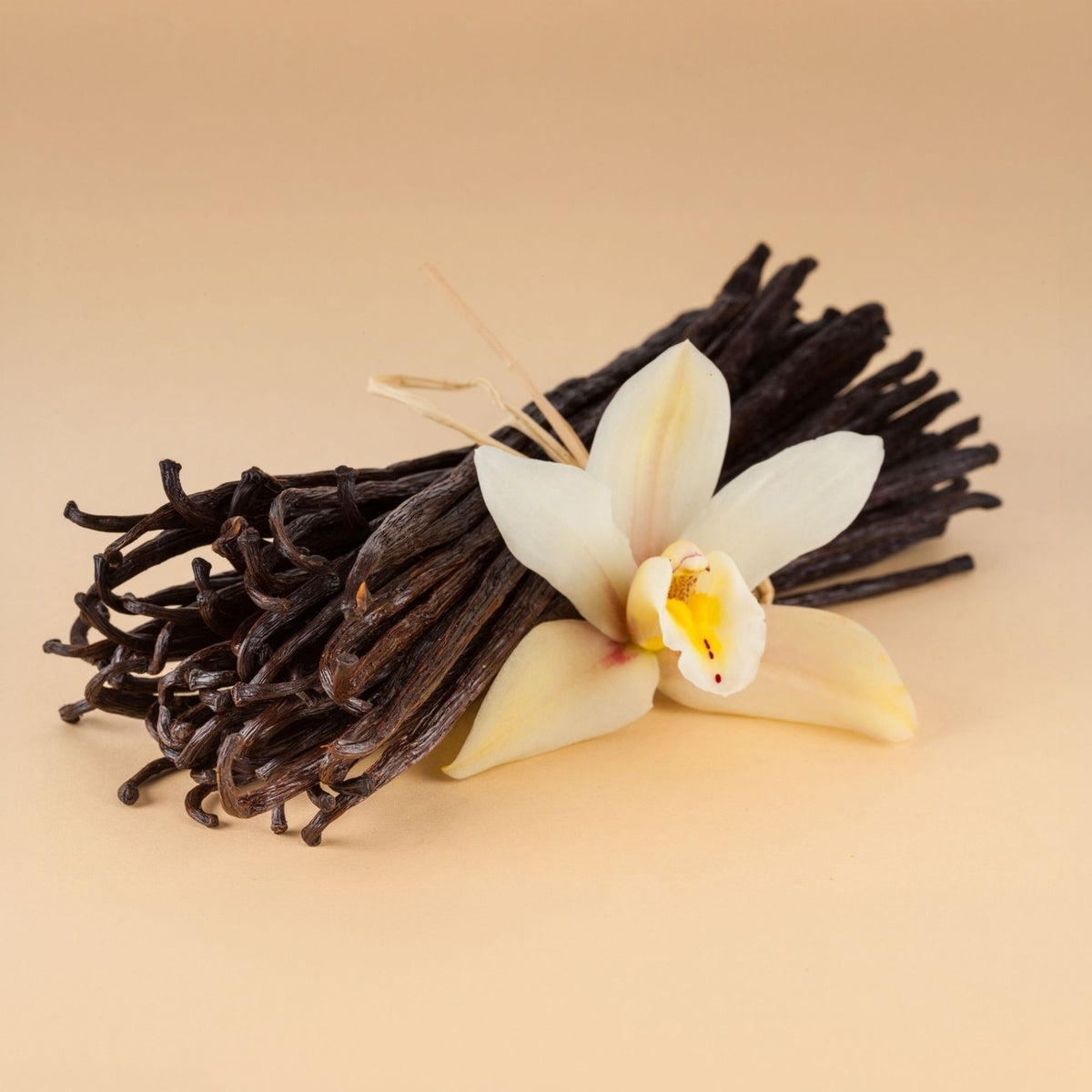 Bio Bourbon Vanille