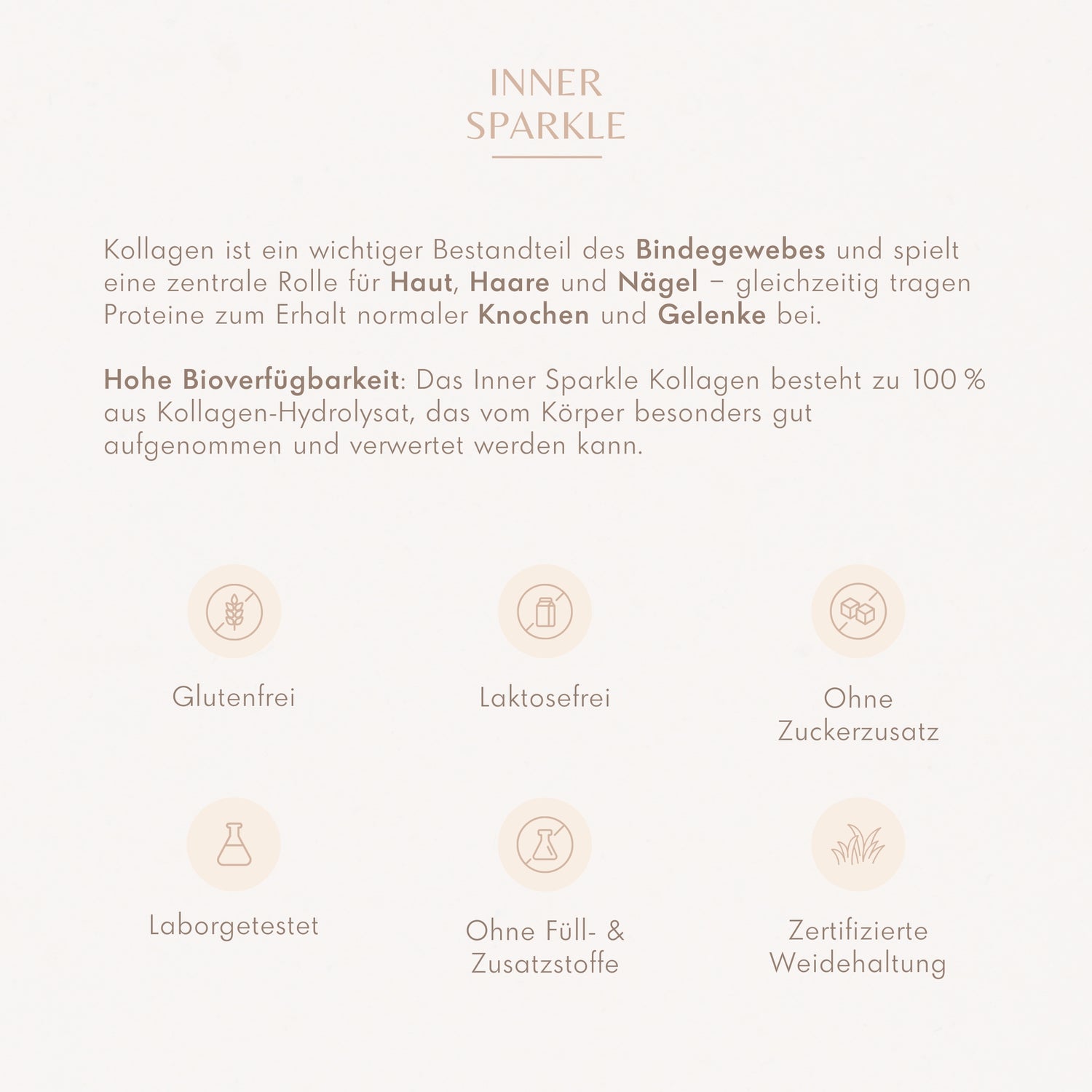 Kollagen Hydrolysat 5x Bundle