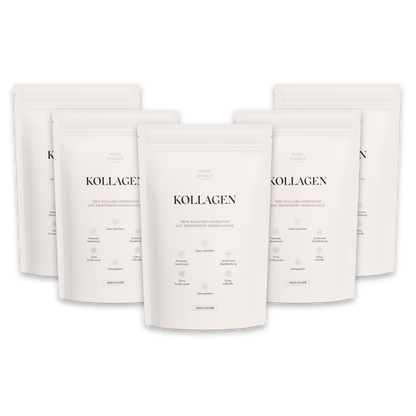 Kollagen Hydrolysat 5x Bundle