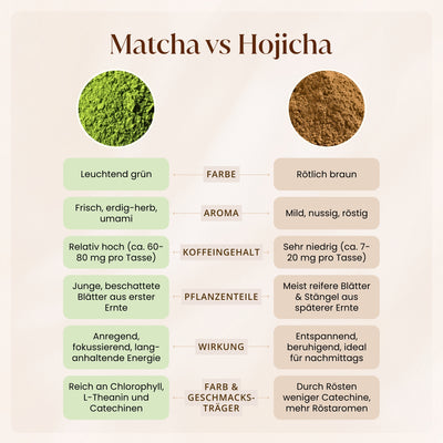 Bio Hojicha Tee Pulver 30g