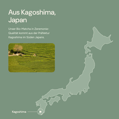 Organic Matcha Tea 10g